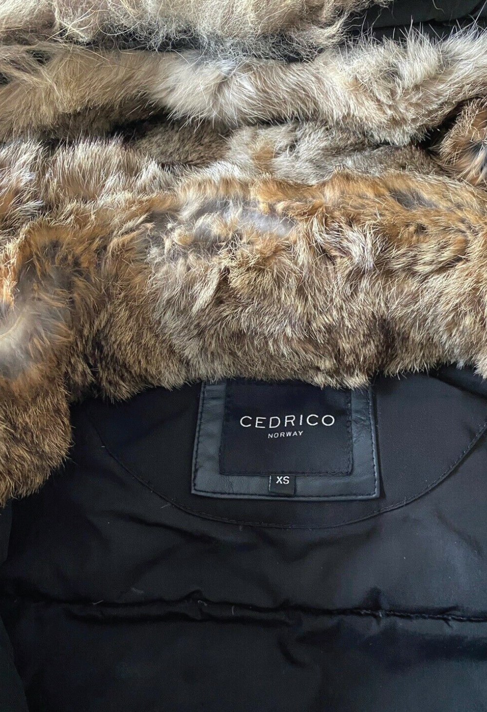 Cedrico – Nordic Brand Agency Copenhagen